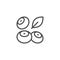 Blueberries line outline icon fruit concept