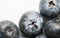 Blueberries - macro of blueberries
