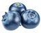 Blueberries. Macro shot. File contains clipping paths.