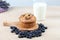 Blueberries muffin on wooden background