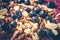 Blueberries and Nuts Oatmeal