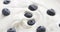 Blueberries in organic yogurt