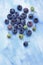 Blueberries over painted textile background