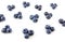 Blueberries pattern