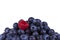 Blueberries & Rasberry isolated with clipping path