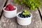 Blueberries and raspberries bowl on wooden table