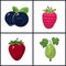 Blueberries, Raspberries, Strawberry,Gooseberry