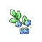 Blueberries RGB color icon