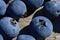 Blueberries ripe berries harvest summer on a wooden background