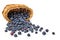 Blueberries, scattered from the basket