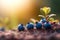 Blueberries thrive outside, a testament to nature\\\'s bounty and the delicious rewards of cultivation