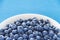 Blueberries in white bowl on colorful blue backround