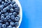 Blueberries in white bowl on colorful blue backround