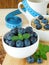 Blueberries in a white bowl and measuring tape in the background