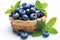 Blueberries in a wicker basket on a white background