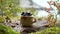 Blueberries in a wooden cup kuksa on a background of mountains