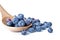 Blueberries in a wooden spoon