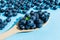 Blueberries in a wooden spoon on blue background. Closeup organic raw vegan dessert food