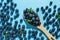 Blueberries in a wooden spoon on blue background. Closeup organic raw vegan dessert food