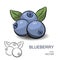 Blueberry