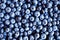 Blueberry background. Ripe and juicy fresh picked bilberries close up.Top view or flat lay.