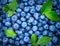 Blueberry background. Ripe and juicy fresh picked blueberries backdrop, closeup. Organic Blue berries with green leaves