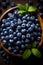 Blueberry banner. Bowl full of blueberries. Close-up food photography background