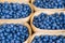 Blueberry baskets