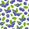 Blueberry bilberry painted vector seamless pattern.
