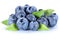Blueberry blueberries fresh berry berries fruit isolated on whit