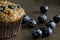 Blueberry Bran Muffin with Blueberries