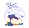 Blueberry cheesecake dessert vector isolated food illustration on white background.