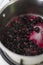 Blueberry Compote