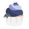 Blueberry cupcake with berries. Design element, icon
