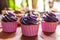 Blueberry cupcakes, vegetarian and vegan sweets in a pink cup