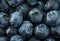 Blueberry detail background