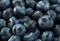 Blueberry detail background