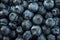 Blueberry detail background