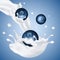 Blueberry falling in milk yogurt with splash. Realistic Vector blueberries smoothies illustration.