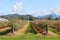 Blueberry Farm in Spring