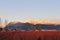 Blueberry field and golden ears mountain