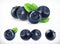 Blueberry. Forest berry. 3d vector icons set. Realistic illustration