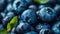 Blueberry Fresh organic berries macro 3