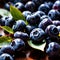 Blueberry fresh raw organic fruit