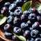 Blueberry fresh raw organic fruit