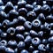 Blueberry fresh raw organic fruit