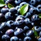 Blueberry fresh raw organic fruit