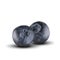 Blueberry Fruit