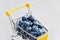 Blueberry fruits in mini shopping cart. Selective focus on the blueberries in small trolley