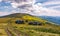 Blueberry harvesting in Carpathian mountains